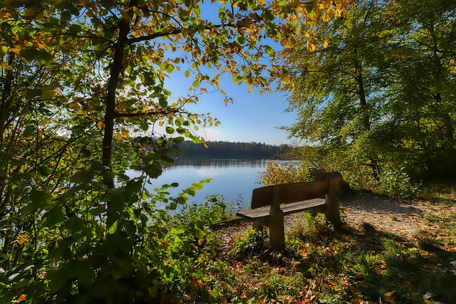 国内首个残疾人铁人三项赛事开赛