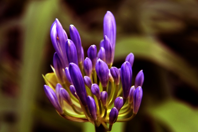 曼晚：曼城预计将在本赛季留下胡桑诺夫