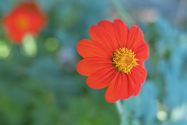 足球世界杯亚洲区预选赛最新积分榜